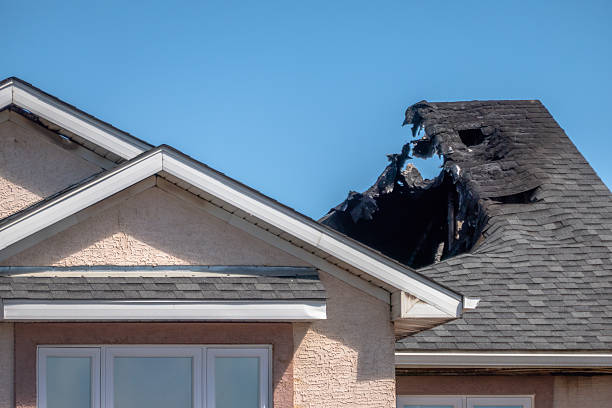 Top rated local Odor Removal specialists in Wyncote, PA
